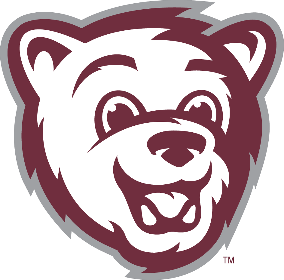 Montana Grizzlies 2010-Pres Mascot Logo v2 iron on transfers for clothing